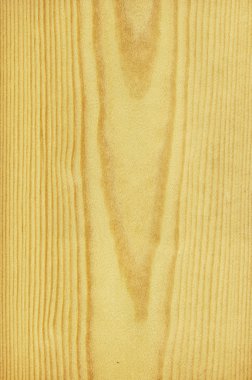 Pine (wood texture) clipart