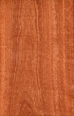 Sapele (ahşap doku)