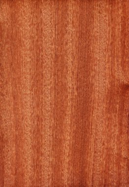 Sapele (wood texture) clipart