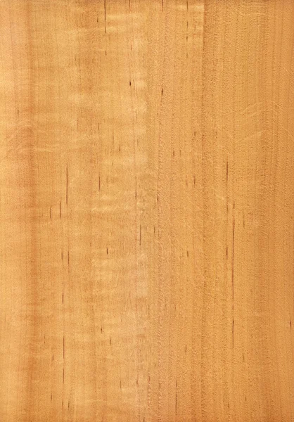 Aliso (textura de madera ) — Foto de Stock