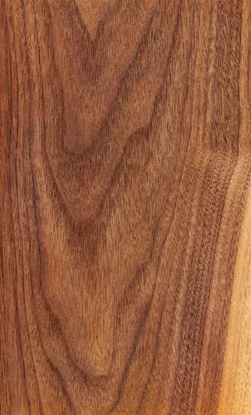 Americký ořech (texturu dřeva) — Stock fotografie