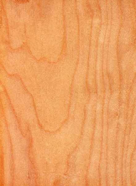 Birch (wood texture) — Stock Photo, Image