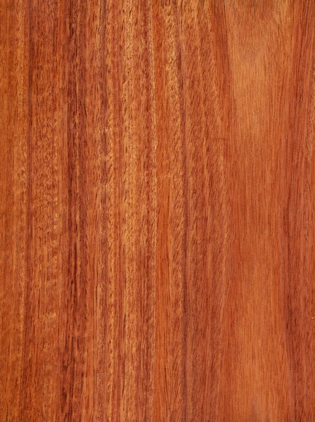 Mogno de cereja (textura de madeira ) — Fotografia de Stock