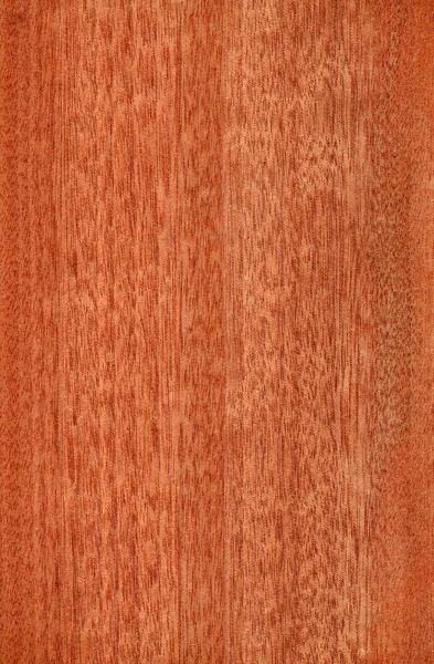 Gabão (textura de madeira ) — Fotografia de Stock
