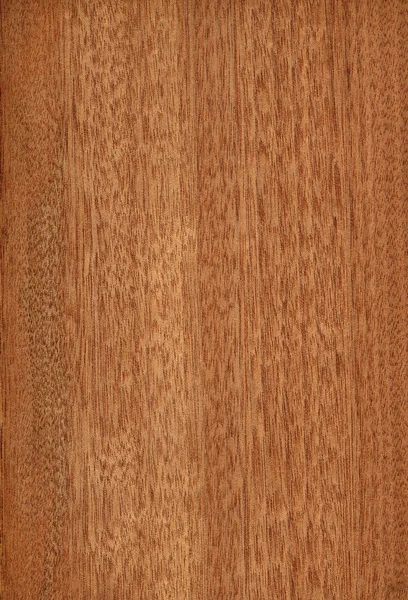 Gabón (textura de madera ) — Foto de Stock