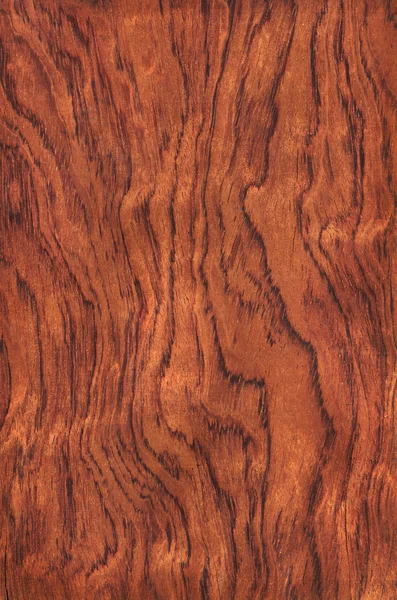 Guibourtia (textura de madeira ) — Fotografia de Stock