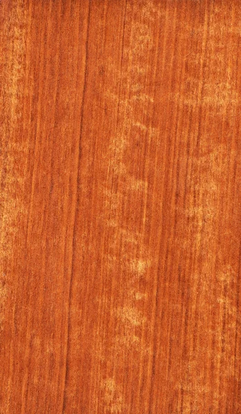 Jarrah (textura de madeira ) — Fotografia de Stock