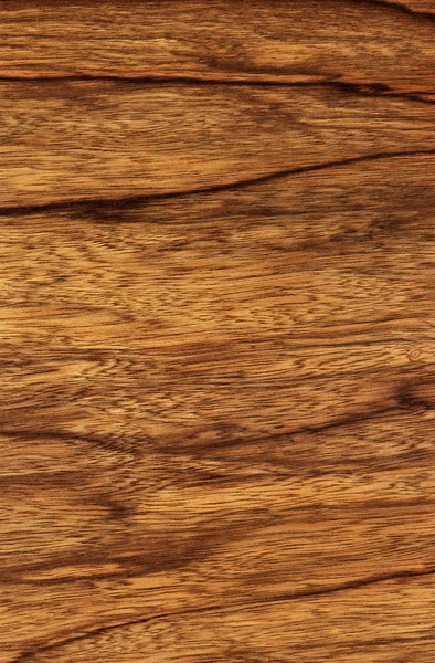 Ofra (textura de madera ) —  Fotos de Stock