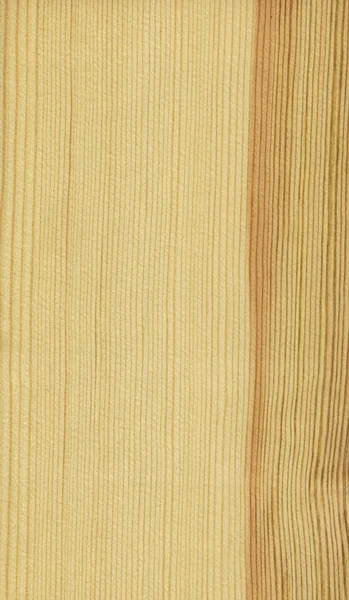 Pino (textura de madera) ) — Foto de Stock