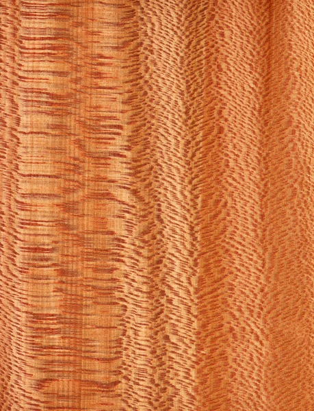 Platanus (wood texture) — Stock Photo, Image