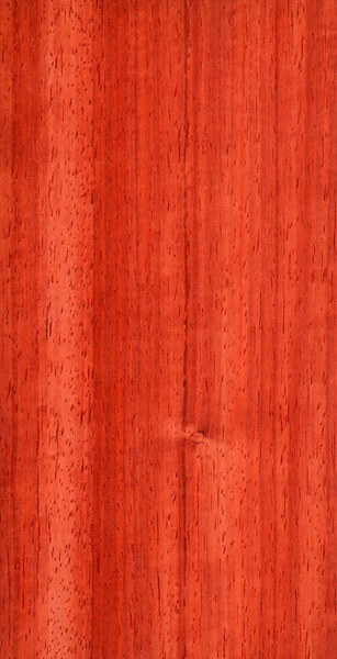 Pterocarpus (houtstructuur) — Stockfoto