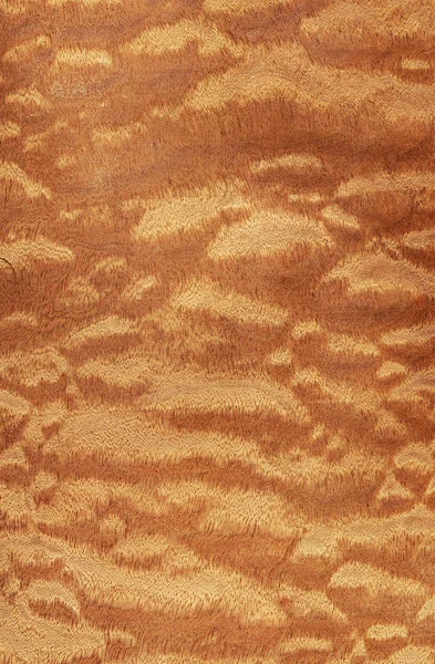 Sapele pomele (textura de madeira ) — Fotografia de Stock