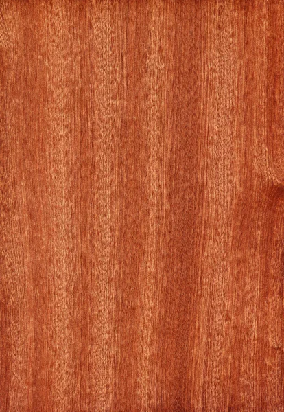 Sapele (wood texture) — Stock Photo, Image