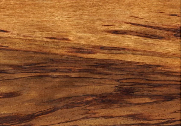 Tiger etimoe (wood texture) — Stock Photo, Image