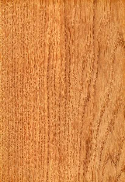 Ukrainian oak (wood texture) — Stock Photo, Image