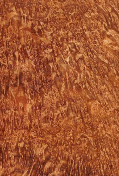 Vavona (textura de madeira ) — Fotografia de Stock
