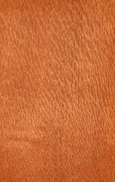 Lacewood (texturu dřeva) — Stock fotografie