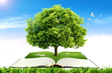 Book with tree on natural background. education concept clipart