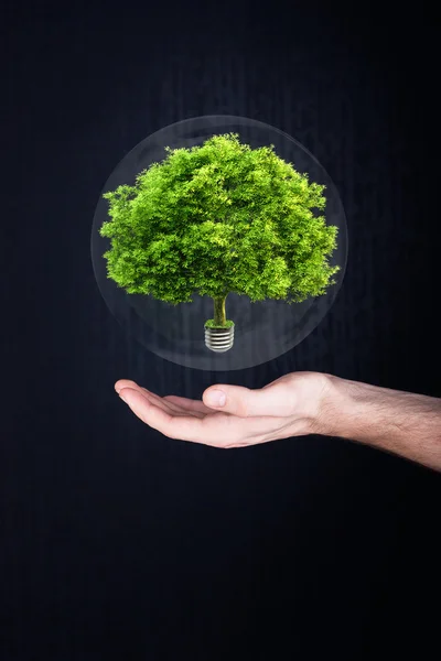 Árbol en las manos. concepto de ecología — Foto de Stock