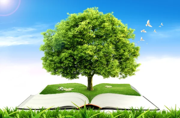 Βιβλίο με δέντρο στο φυσικό υπόβαθρο. έννοια της εκπαίδευσης — Φωτογραφία Αρχείου