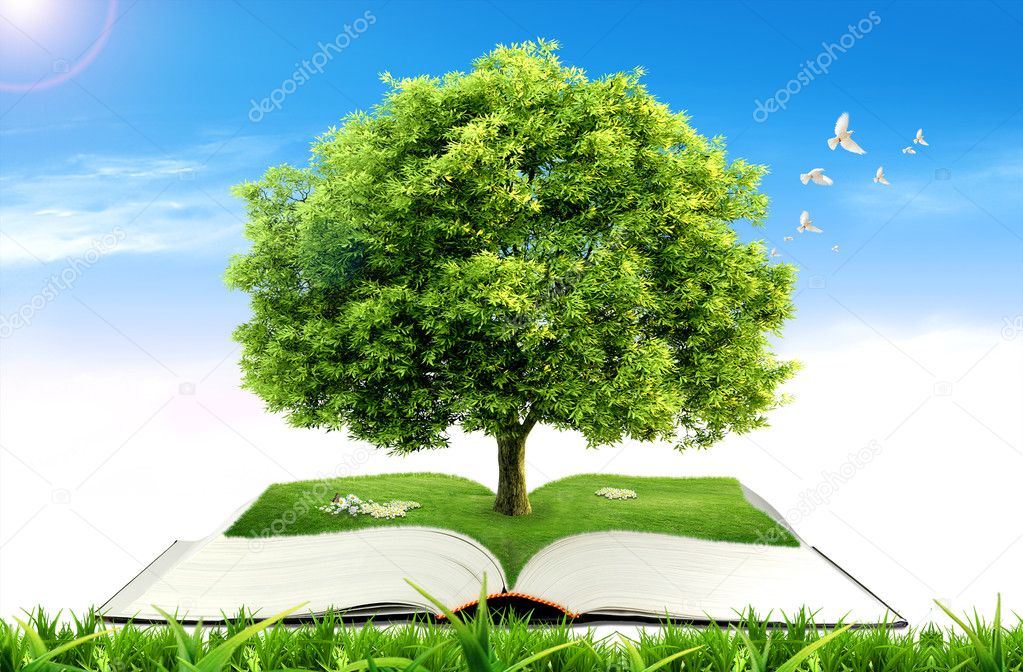Book with tree on natural background. education concept