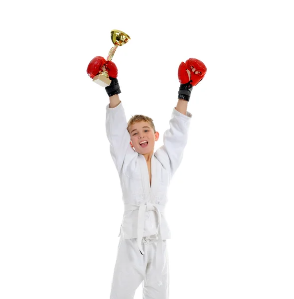 Young boy training karate. — Stock Photo, Image