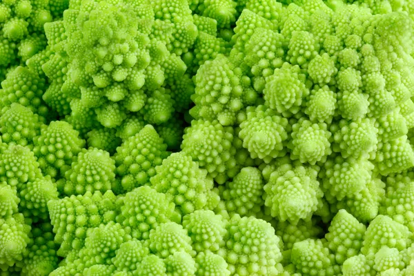 Romanensco - broccoli - цветная капуста увеличена Стоковое Изображение