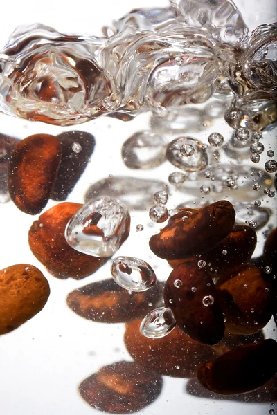 Kaffebönor i vatten — Stockfoto