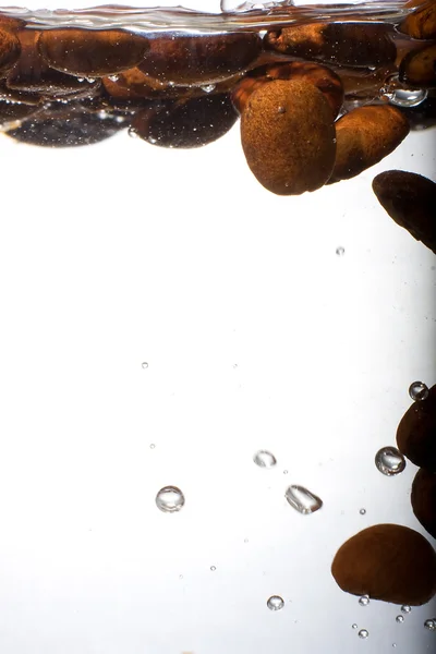 Kahve çekirdekleri su — Stok fotoğraf