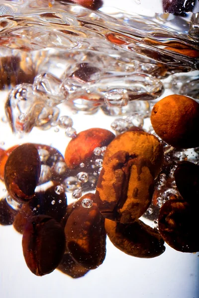 stock image Coffee beans in water