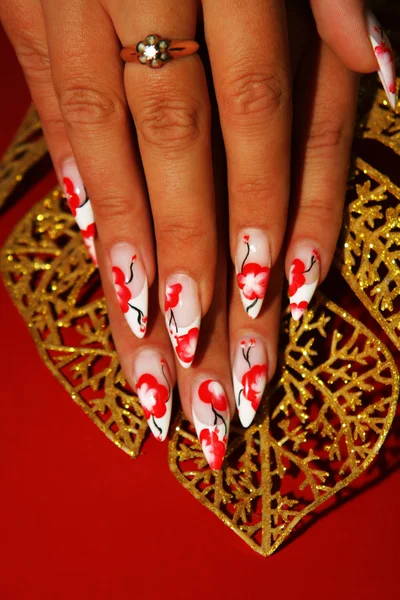 Hermosas uñas con arte — Foto de Stock