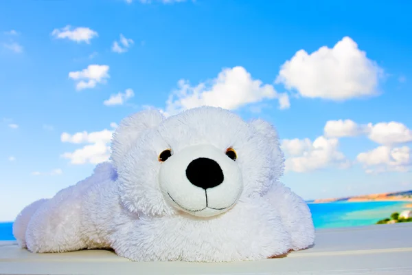 Urso de pelúcia branco no céu — Fotografia de Stock