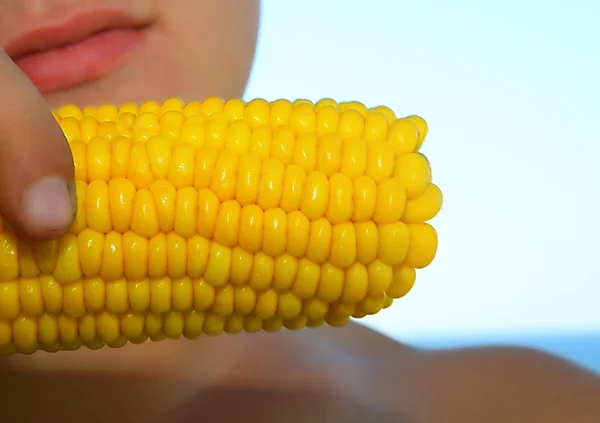 Corn on cob — Stock Photo, Image