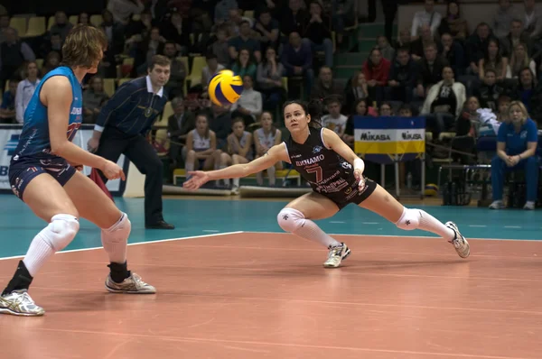 Volley-ball — Photo