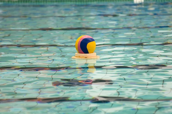 Ação de pólo aquático e equipamentos em uma piscina — Fotografia de Stock