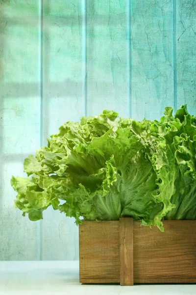 Salat in Holzkiste vor Grunge-Hintergrund — Stockfoto