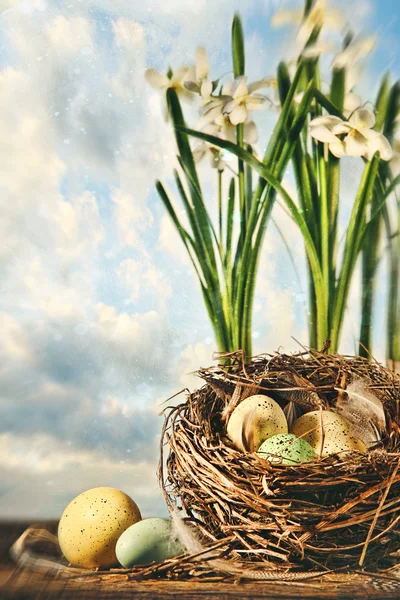 Nest of eggs with flowers for Easter — Stock Photo, Image