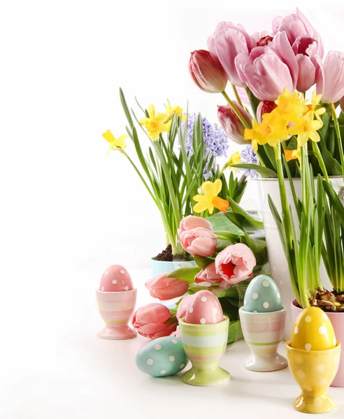 Ovos de Páscoa com flores de primavera em branco — Fotografia de Stock