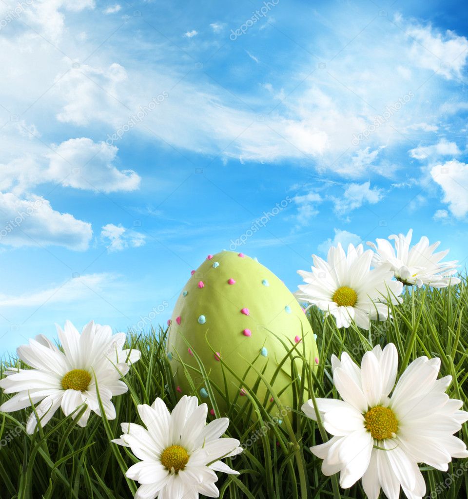 Easter egg in the grass with daisies
