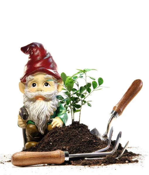 Garden gnome and tools for spring planting — Stock Photo, Image