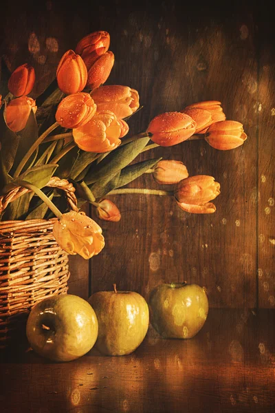 Tulipas de primavera e com sentimento vintage — Fotografia de Stock