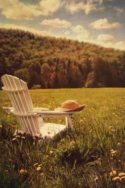 Adirondack chair in a field of tall grass clipart