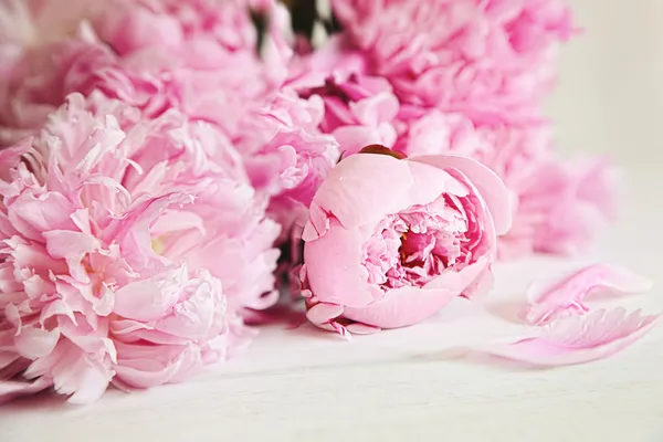 Rosa Pfingstrosenblüten auf Holzoberfläche — Stockfoto