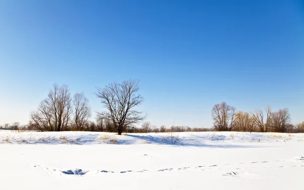 stock image Winter landscape with snow