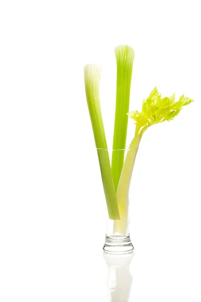 Celery in a tall glass isolated on white — Stock Photo, Image