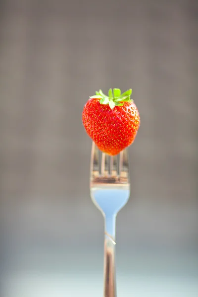 Aardbei op een vork in het daglicht — Stockfoto