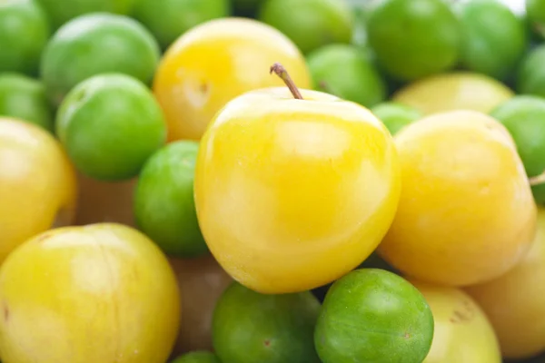 Background of green and yellow plum — Stock Photo, Image