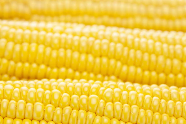 Tło dojrzałe kukurydzy żółty — Zdjęcie stockowe