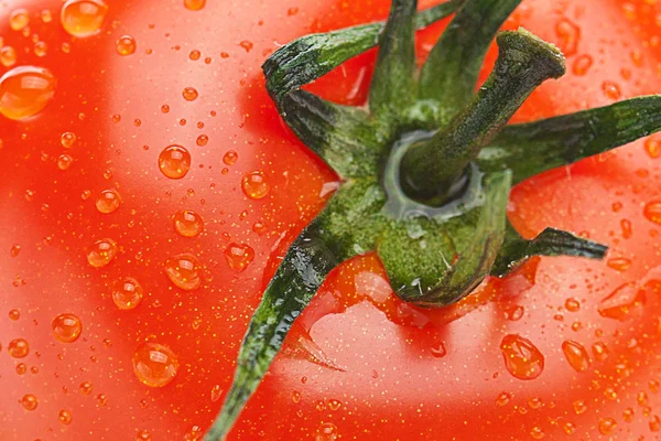 Pozadí rajčete kapkami vody — Stock fotografie