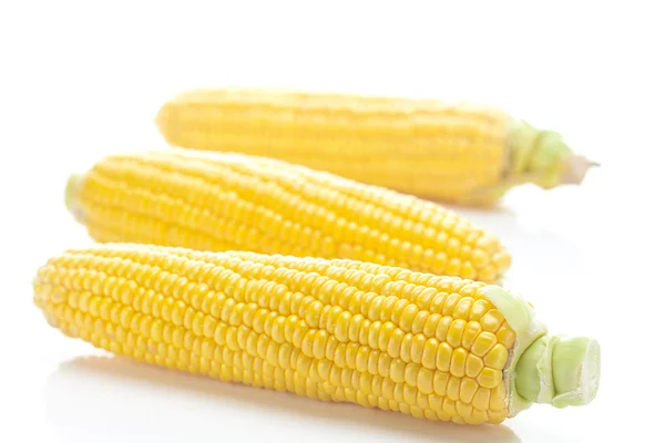Стиглі жовті кукурудзи ізольовані на білому — стокове фото